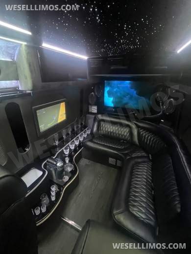 2025 MBZ 3500 Sprinter 170" Ext WB, Fully Loaded Executive CEO - By Limos By Moonlight