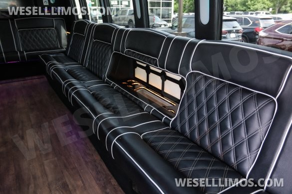 2018 Ford E-450SD 24 Passenger Limo/Party Bus by Global Motor Coach