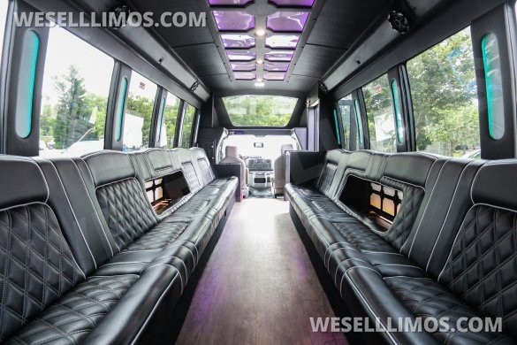 2018 Ford E-450SD 24 Passenger Limo/Party Bus by Global Motor Coach