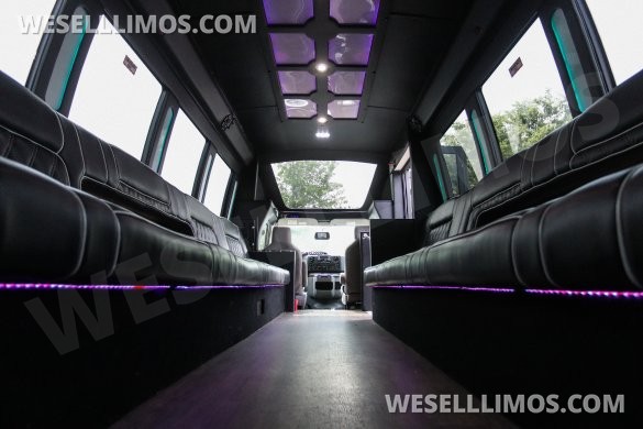 2018 Ford E-450SD 24 Passenger Limo/Party Bus by Global Motor Coach