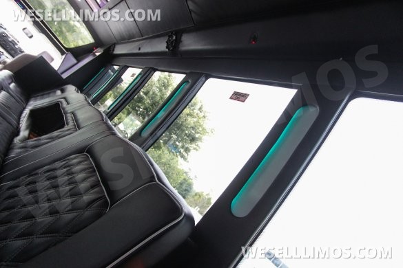 2018 Ford E-450SD 24 Passenger Limo/Party Bus by Global Motor Coach
