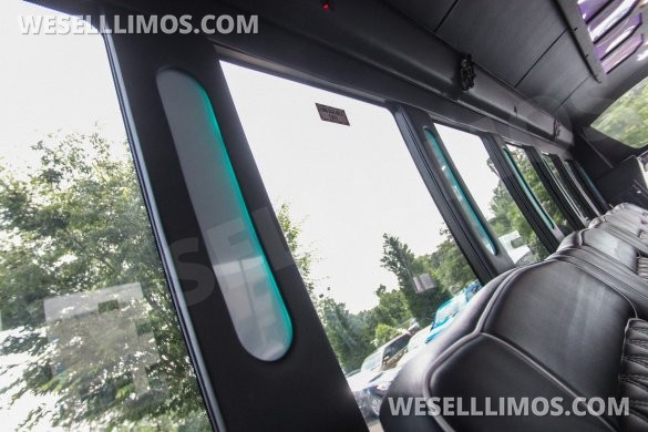 2018 Ford E-450SD 24 Passenger Limo/Party Bus by Global Motor Coach