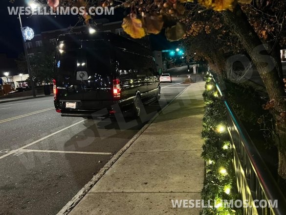 2013 Mercedes-Benz Sprinter 3500 Royale Limousine Van Sprinter