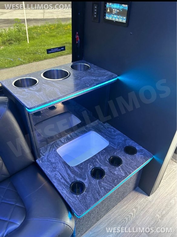 2017 Custom Mobile Conversions Ford F550 Limo Bus