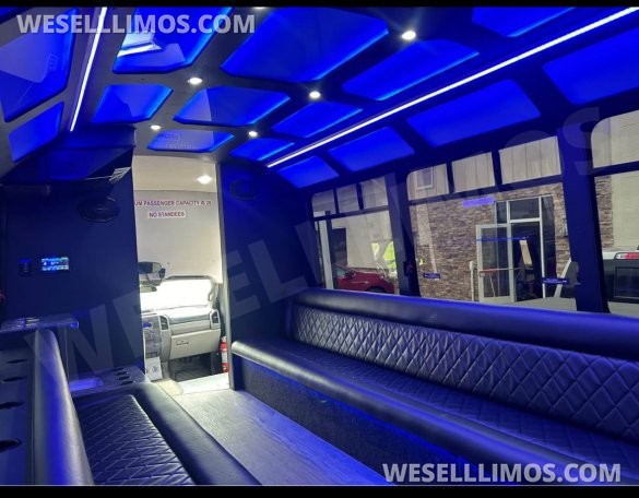 2017 Custom Mobile Conversions Ford F550 Limo Bus