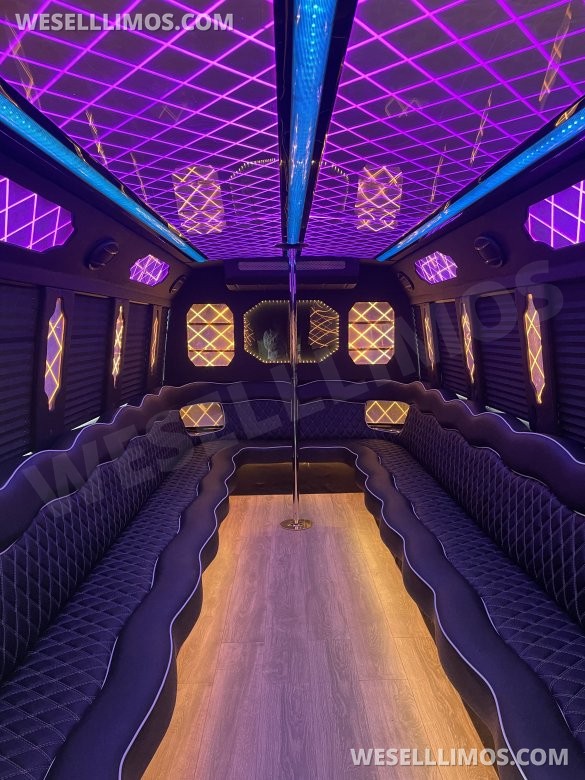 2012 Ford E450 gasoline party bus limo  Limo Bus
