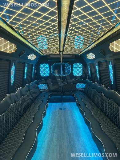 2012 Ford E450 gasoline party bus limo  Limo Bus
