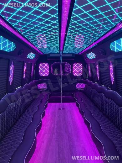 2012 Ford E450 gasoline party bus limo  Limo Bus