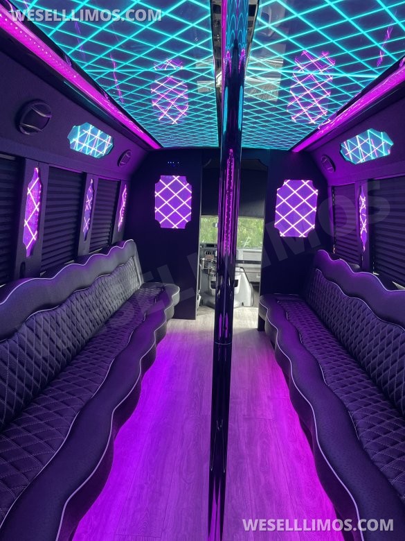 2012 Ford E450 gasoline party bus limo  Limo Bus