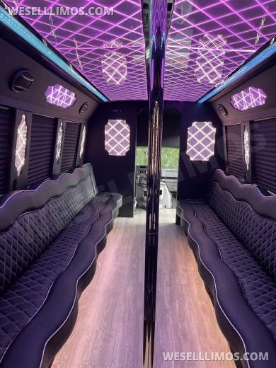 2012 Ford E450 gasoline party bus limo  Limo Bus