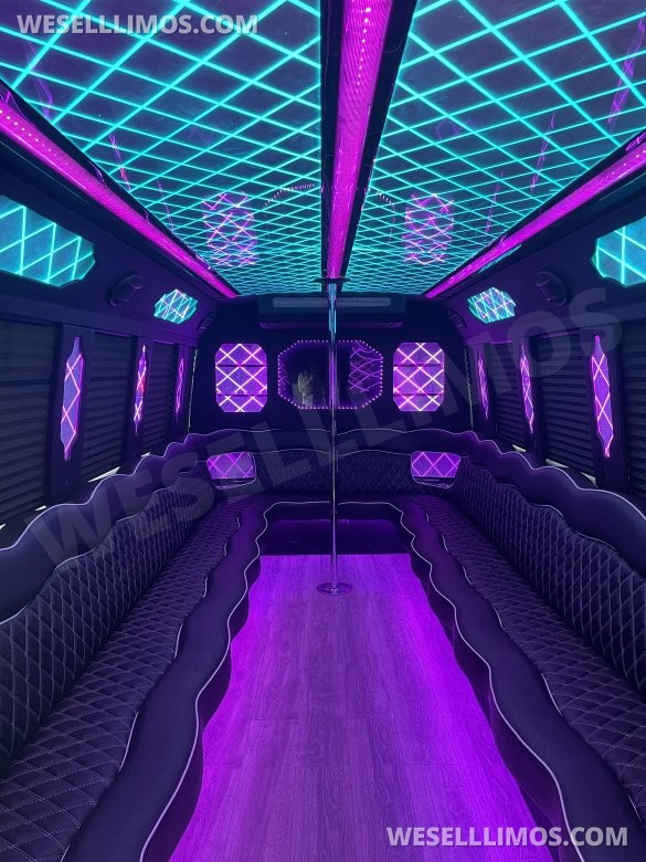 2012 Ford E450 gasoline party bus limo  Limo Bus