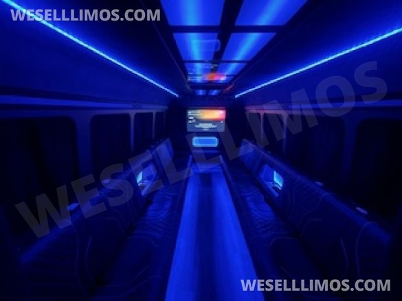 2016 Elite One Customs Ford E450 Limo Bus