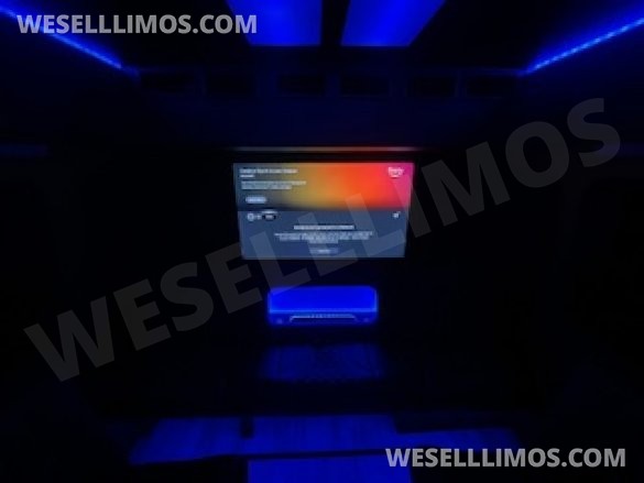 2016 Elite One Customs Ford E450 Limo Bus