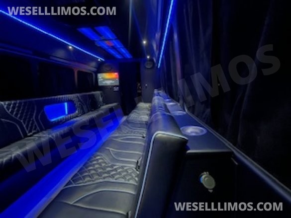 2016 Elite One Customs Ford E450 Limo Bus