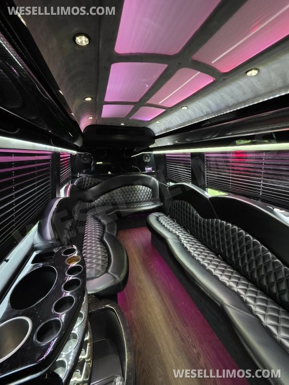 2016 Executive Coach Builders Mercedes-Benz Sprinter Sprinter