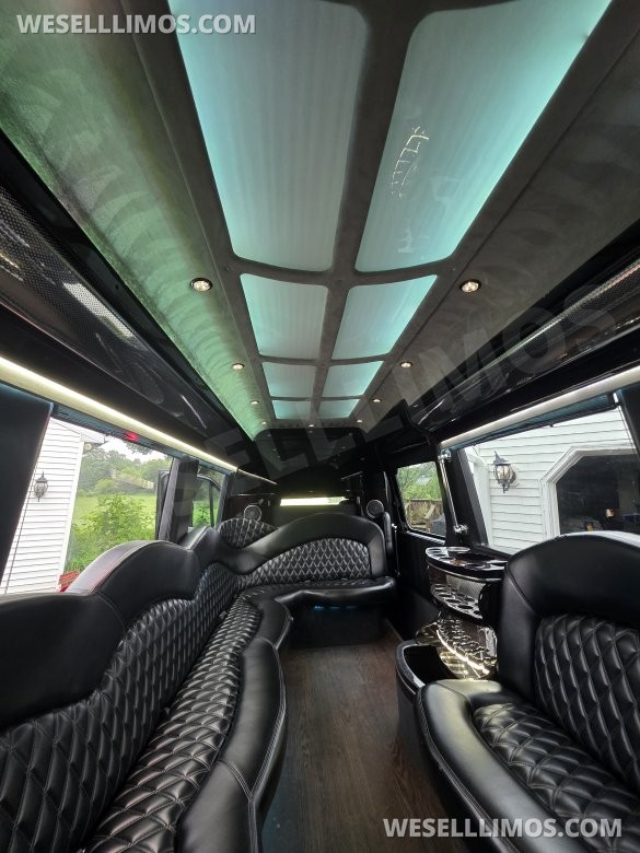 2016 Executive Coach Builders Mercedes-Benz Sprinter Sprinter