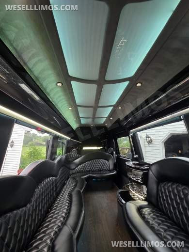 2016 Executive Coach Builders Mercedes-Benz Sprinter Sprinter