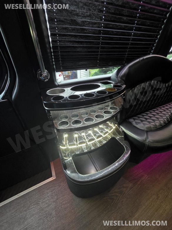 2016 Executive Coach Builders Mercedes-Benz Sprinter Sprinter
