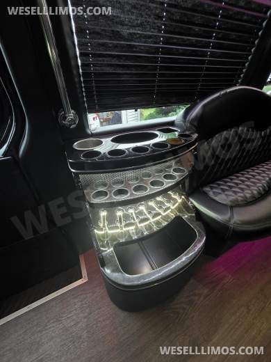 2016 Executive Coach Builders Mercedes-Benz Sprinter Sprinter