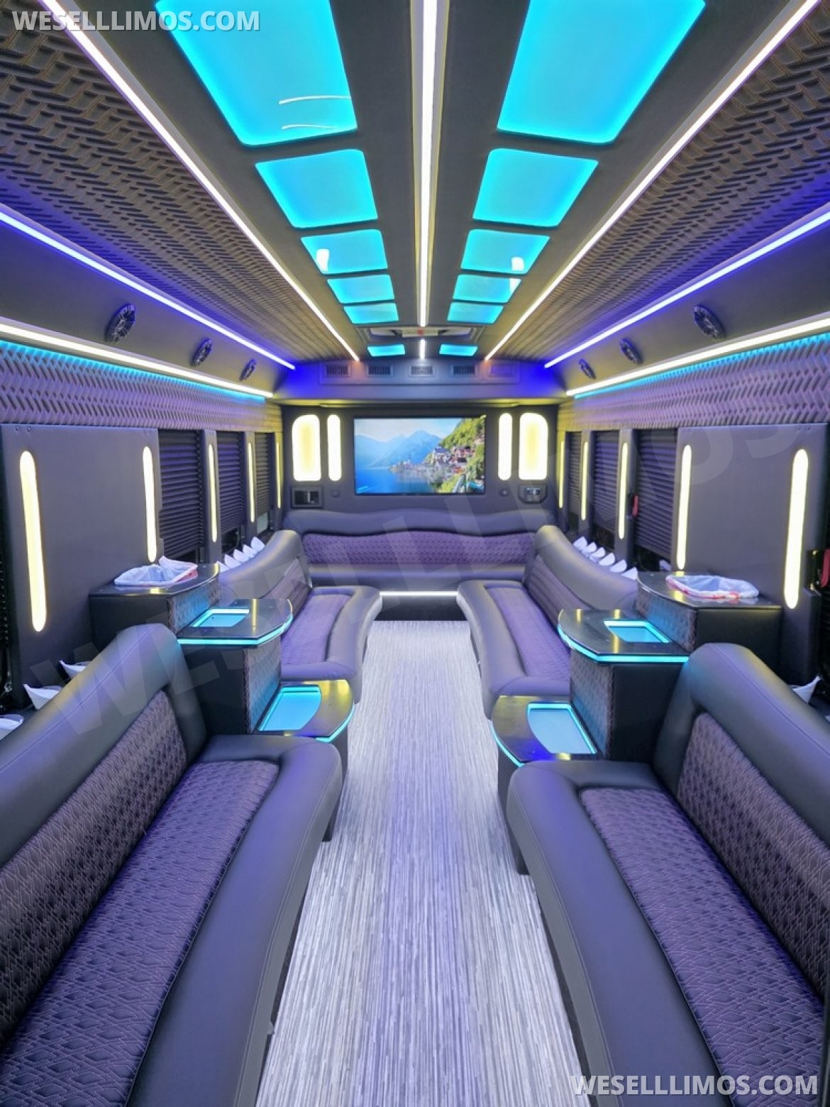 Limo Bus for sale: 2013 IC Bus IC BUS by IC