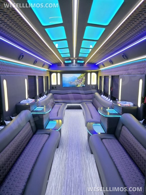 2013 IC BUS Limo Bus with Like New Interior