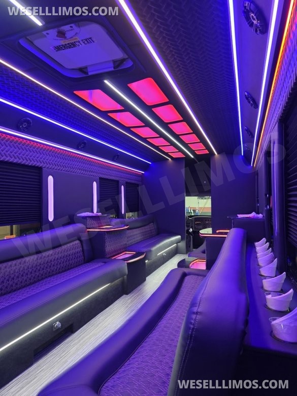 2013 IC BUS Limo Bus with Like New Interior
