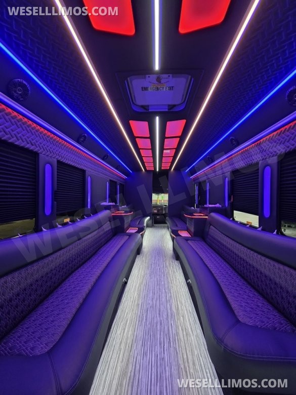 2013 IC BUS Limo Bus with Like New Interior