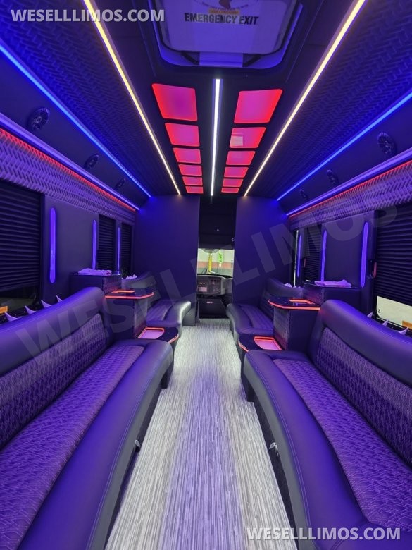 2013 IC BUS Limo Bus with Like New Interior