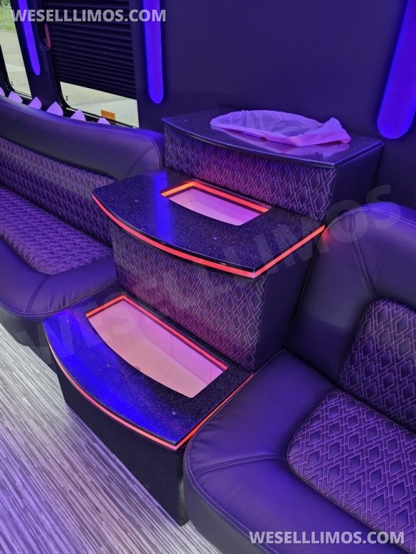 2013 IC BUS Limo Bus with Like New Interior