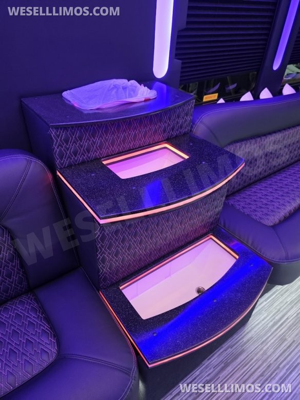 2013 IC BUS Limo Bus with Like New Interior