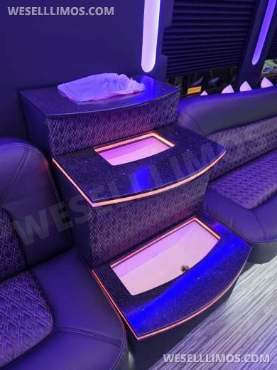 2013 IC BUS Limo Bus with Like New Interior