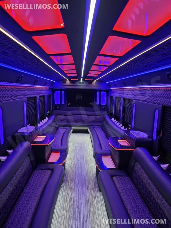 2013 IC BUS Limo Bus with Like New Interior
