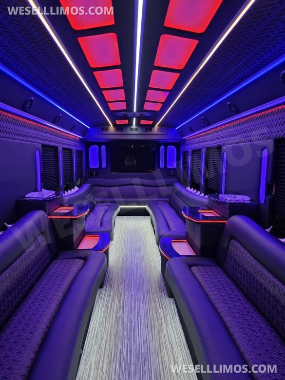 2013 IC BUS Limo Bus with Like New Interior
