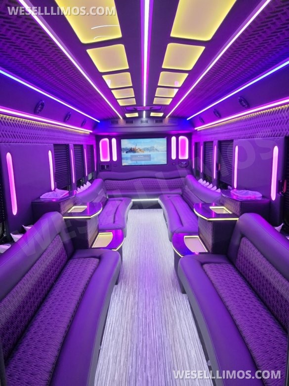 2013 IC BUS Limo Bus with Like New Interior