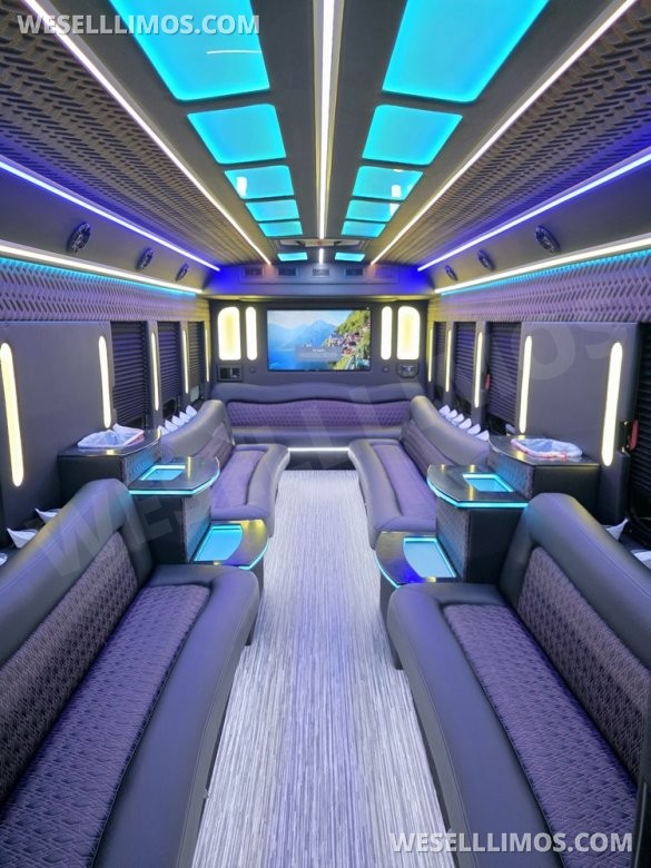 2013 IC BUS Limo Bus with Like New Interior