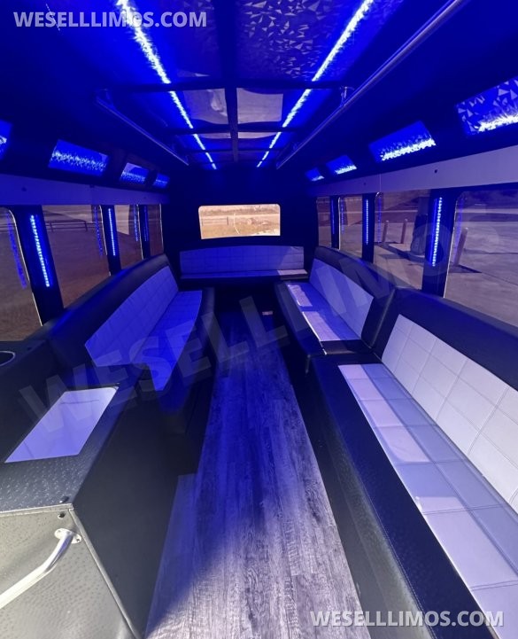 2009 Ford E450 Limo Bus