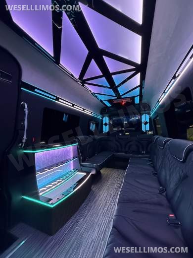 14 Passenger Limousine Style Mercedes Sprinter