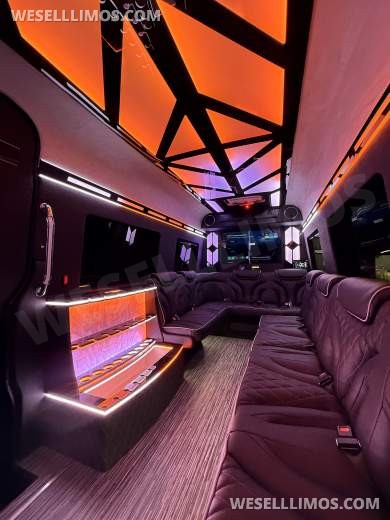 14 Passenger Limousine Style Mercedes Sprinter
