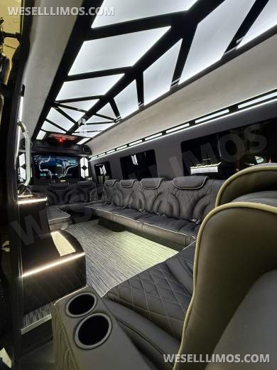 14 Passenger Limousine Style Mercedes Sprinter