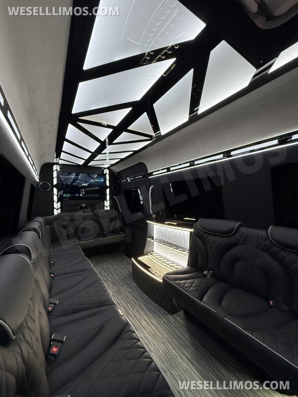 14 Passenger Limousine Style Mercedes Sprinter