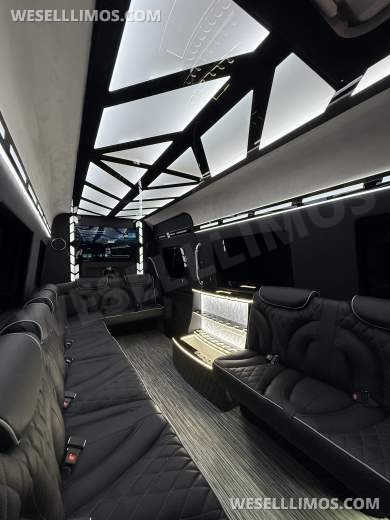 14 Passenger Limousine Style Mercedes Sprinter