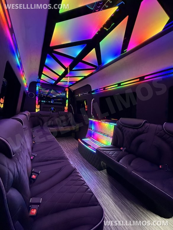 14 Passenger Limousine Style Mercedes Sprinter