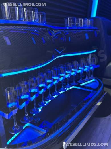 2025 Specialty Passenger Vehicles Mercedes-Benz Sprinter 3500 XD Sprinter