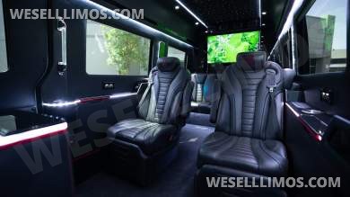 2019 Unique Industries  Mercedes-Benz sprinter Sprinter