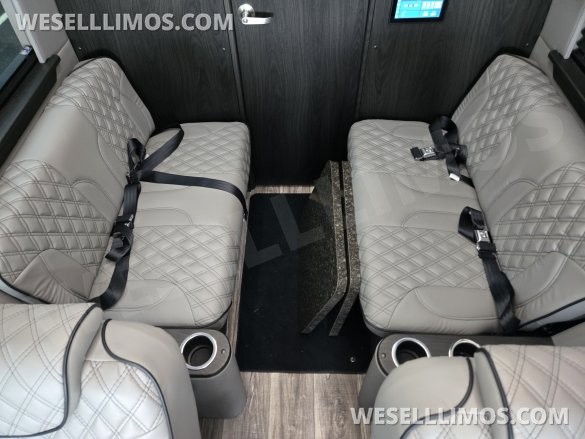 2023 Midwest Automotive Designs Mercedes-Benz Luxe Cruiser 8 Passenger - Rear Bathroom
