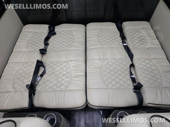 2019 Midwest Automotive Designs Mercedes-Benz Luxe Cruiser Luxury Sprinter