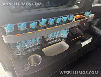•PRISTINE / LOWER MILEAGE• 2013 Royal Mercedes Sprinter 3500 Diesel 12-Passenger LimoYacht