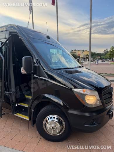 2016 McSweeney Mercedes-Benz Sprinter Sprinter
