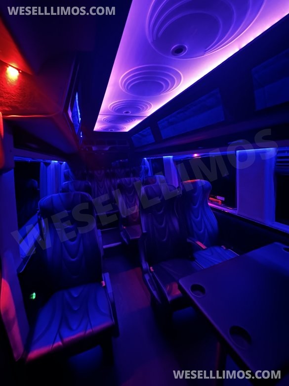 2017 Executive coaches Mercedes-Benz Sprinter Executive Shuttle