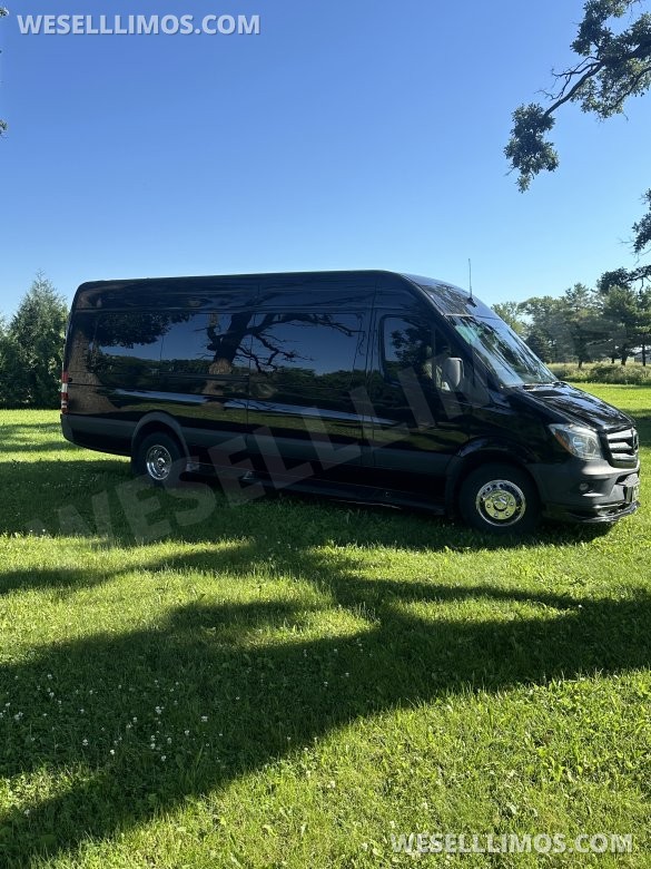2017 Executive coaches Mercedes-Benz Sprinter Executive Shuttle